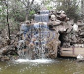 water gardens